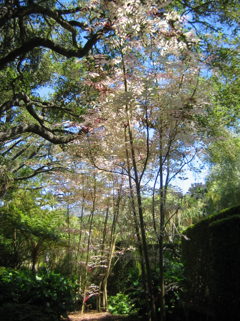 Walk With Me: Ganna Walska Lotusland