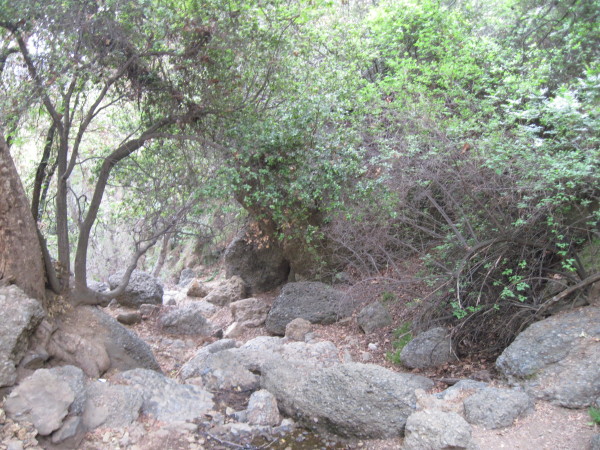WALK WITH ME: Pacific Palisades