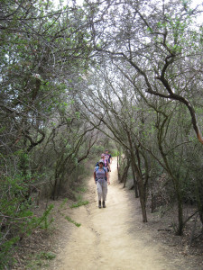 WALK WITH ME: Pacific Palisades