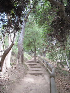 WALK WITH ME: Pacific Palisades