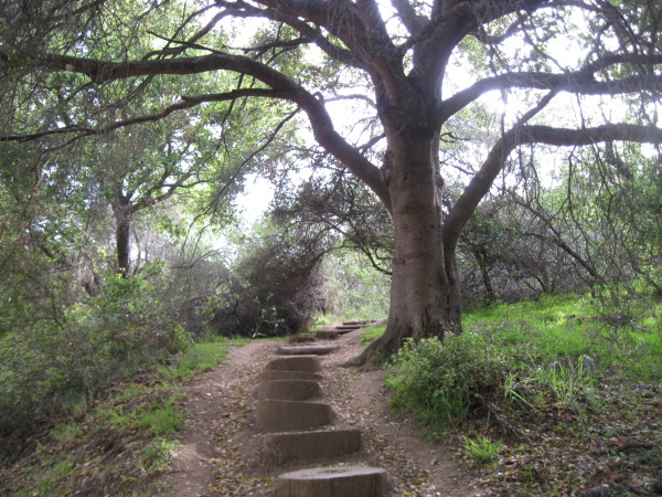WALK WITH ME: Pacific Palisades