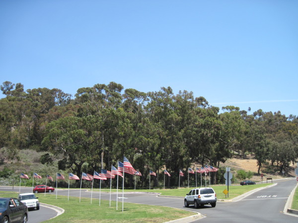 WALK WITH ME: Palos Verdes Drive West
