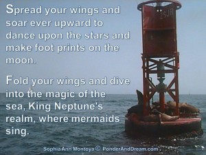 FIND YOUR SERENITY: Palos Verdes Peninsula Tide Pools